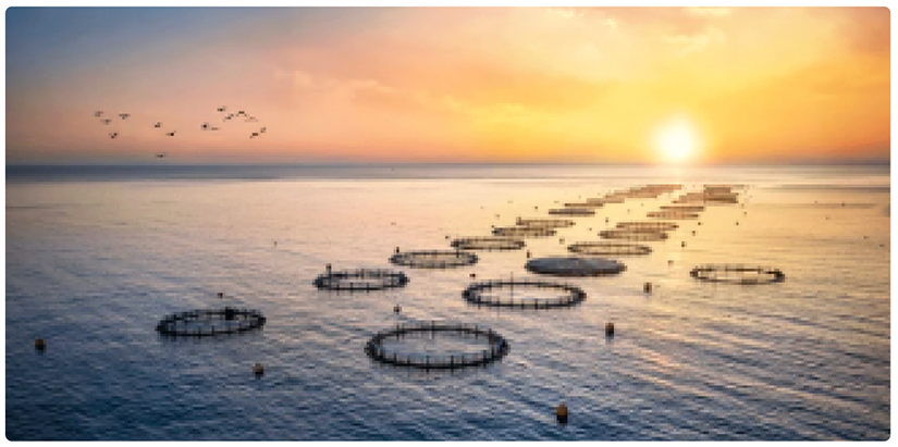 Fish farming