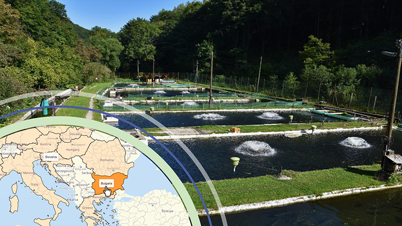 Bulgaria Map