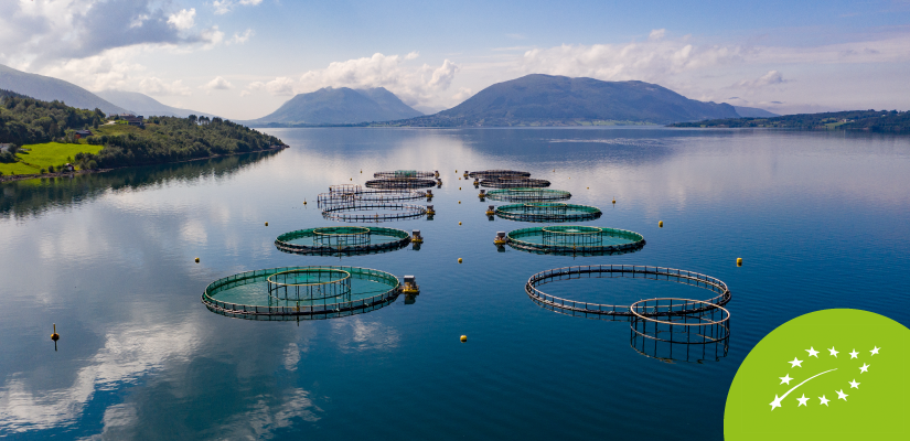 Organic aquaculture