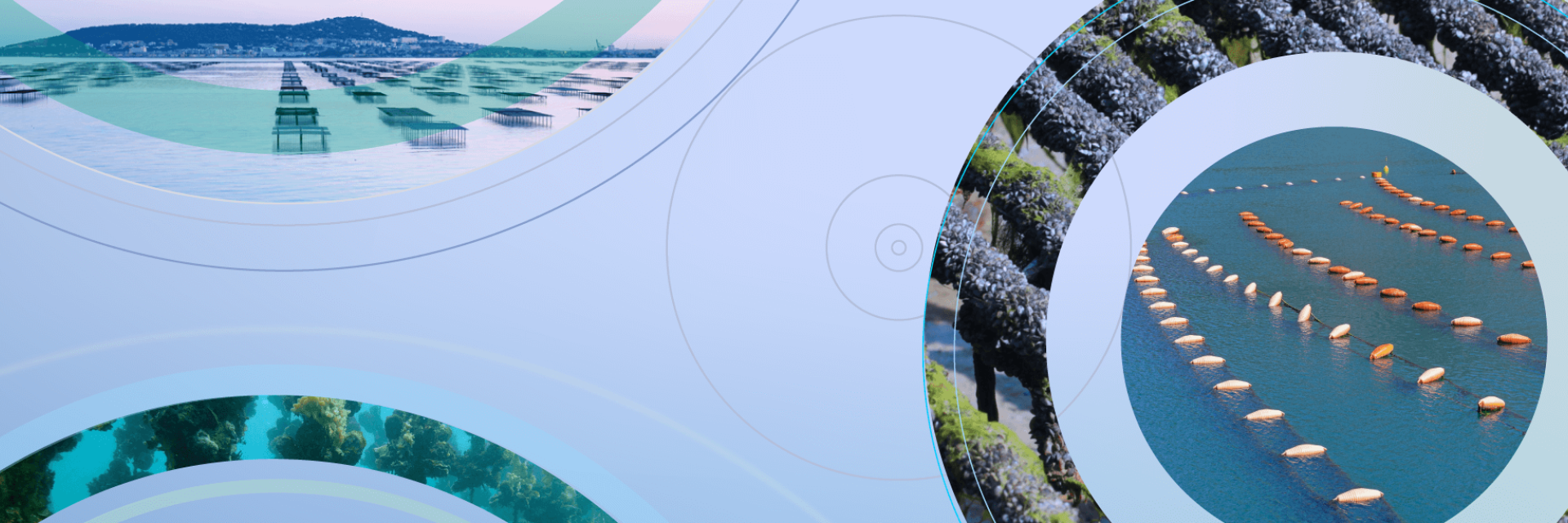 Contact Banner