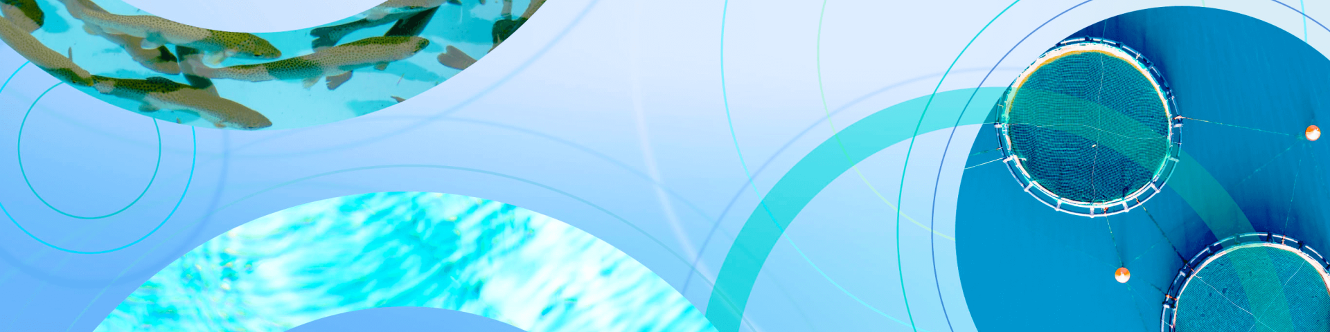 AQUACULTURE BANNER