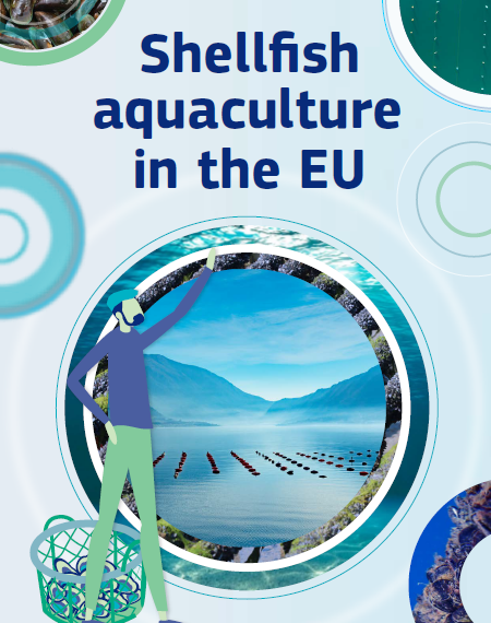 Infographic - Shellfish aquaculture in the EU