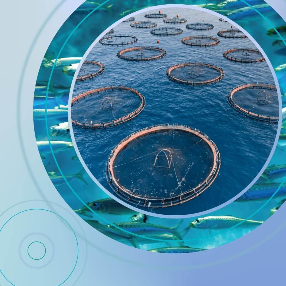 Guidance on planning of space and access to water for marine aquaculture.jpg
